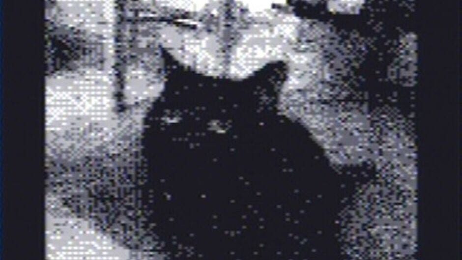 Game Boy Camera screenshot 2