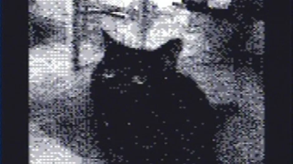 Capture d'écran de l'article