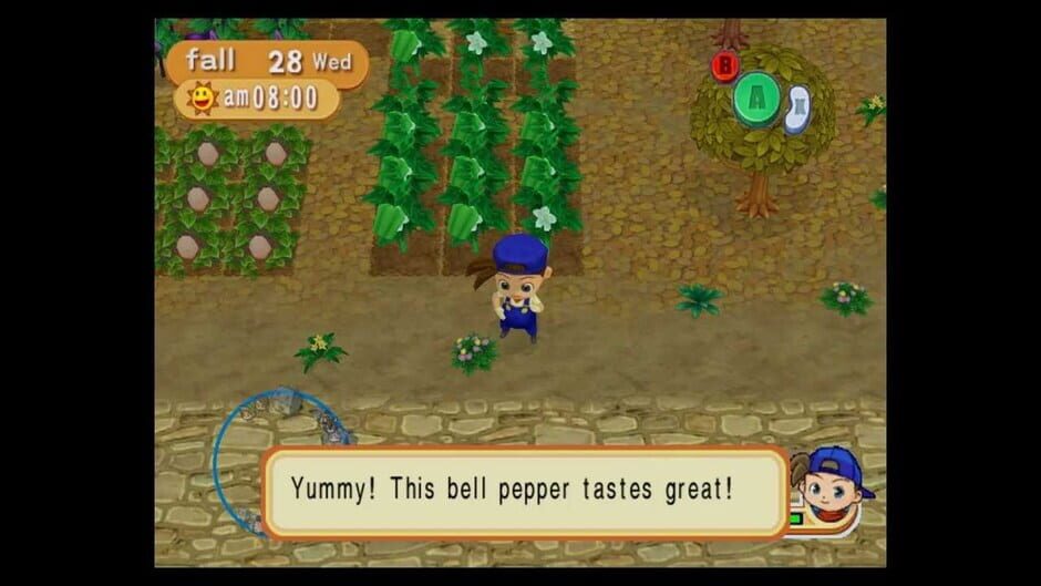 Harvest Moon: Magical Melody screenshot 2