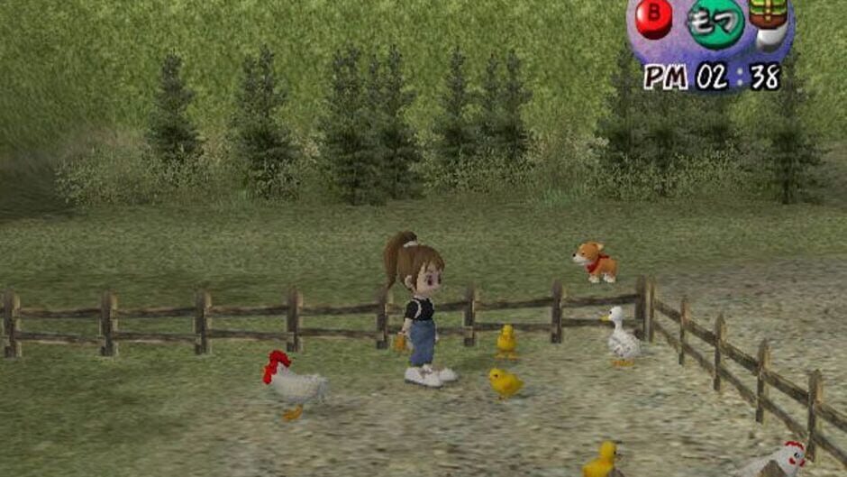 Harvest Moon: Another Wonderful Life screenshot