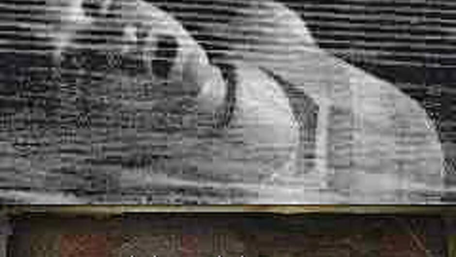 Silent Hill: Mobile DX screenshot