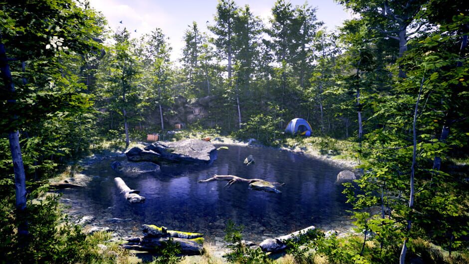 The Fabled Woods Screenshot