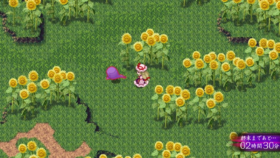 Touhou Genso Maroku W: The Devil of Decline Screenshot