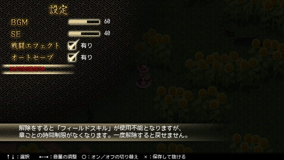 Touhou Genso Maroku W: The Devil of Decline Screenshot