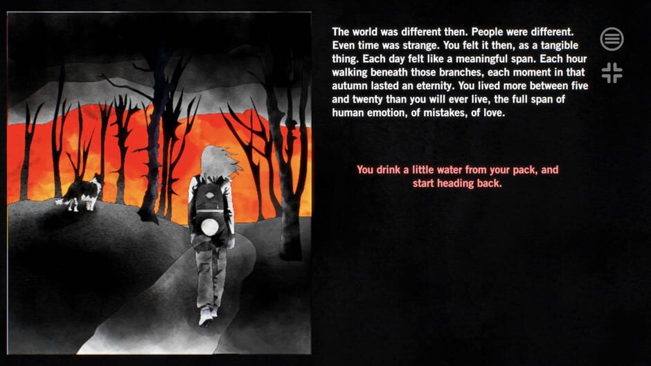 Screenshots American Election