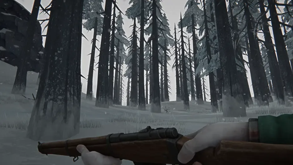 The Long Dark, captura de tela 1