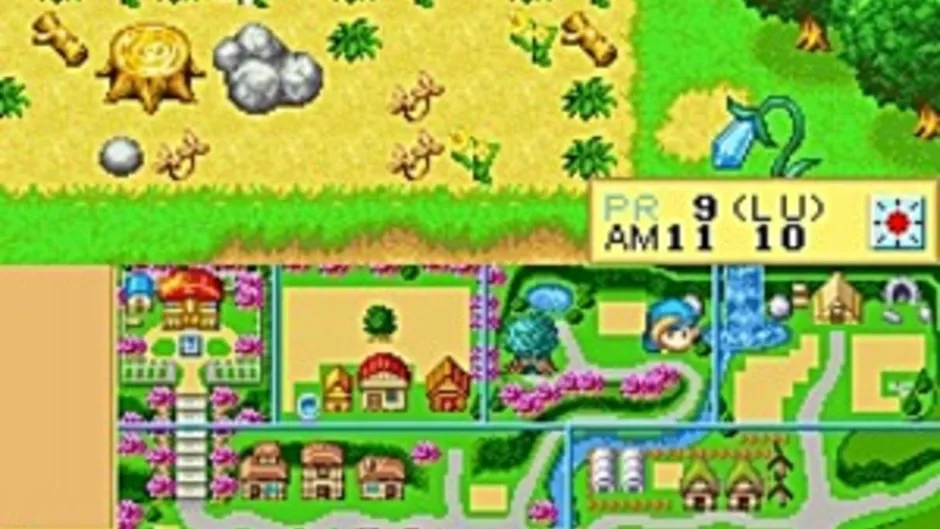 Skärmbild 2 från Harvest Moon DS