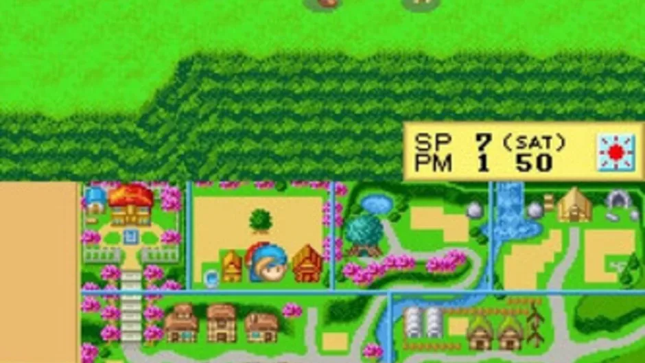 Skärmbild 3 från Harvest Moon DS