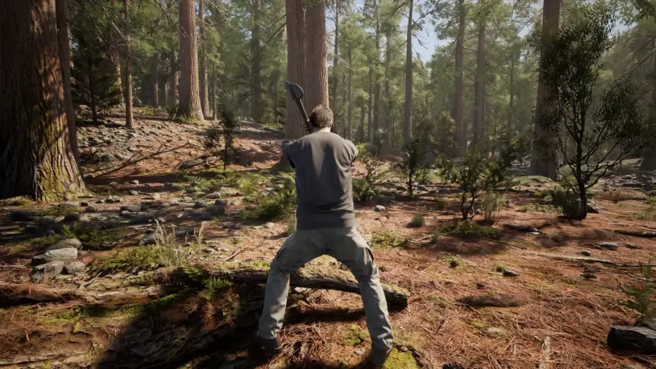 Wilderness
