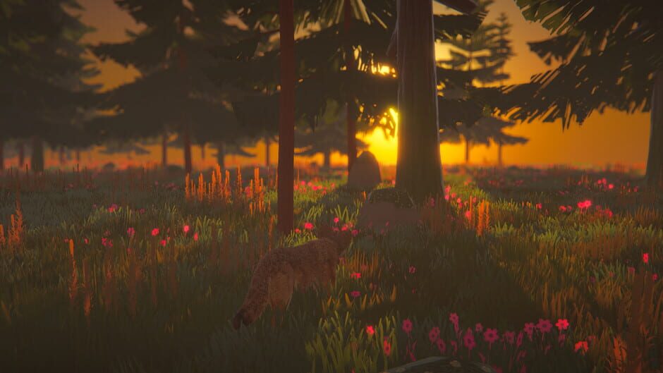 Subdivided screenshot