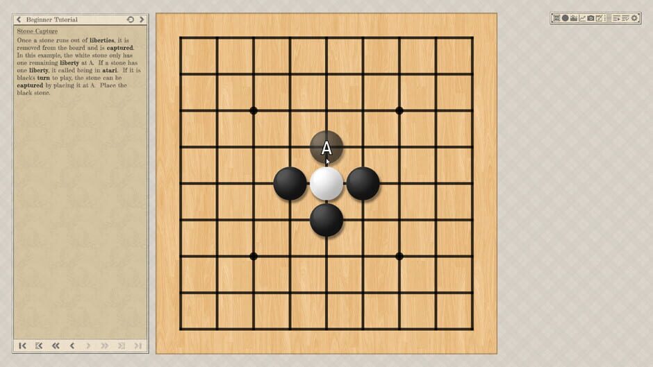 The Conquest of Go Screenshot