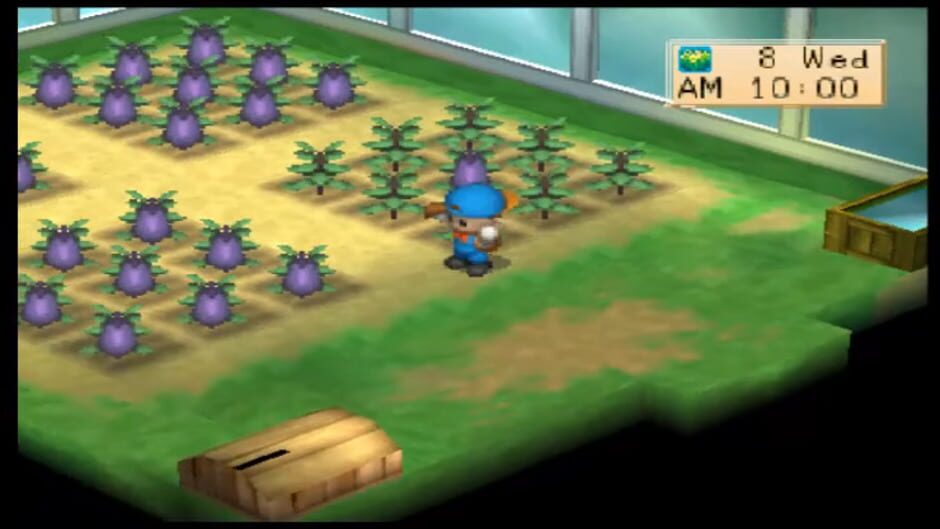 Harvest Moon: Boy & Girl screenshot