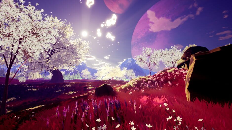 The Companion Screenshot