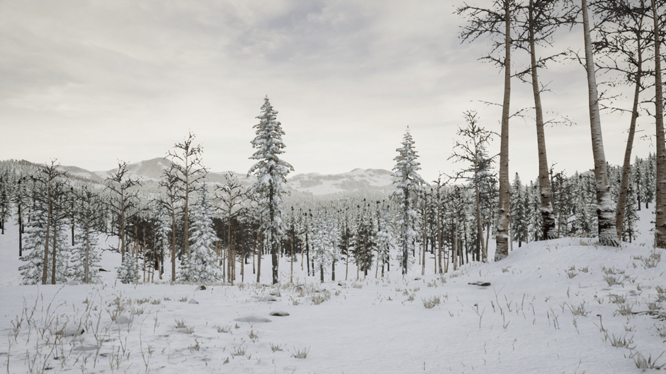 Erzurum Screenshot