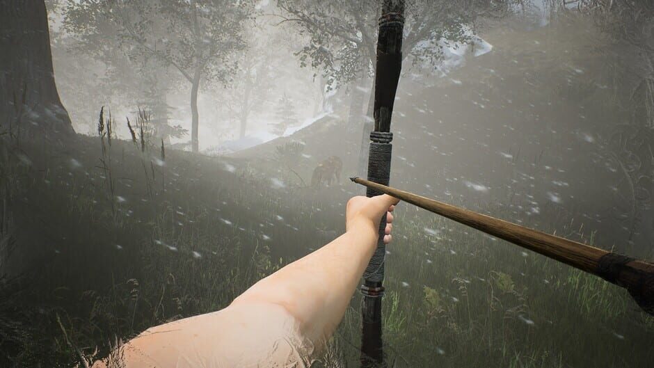 The Frost Rebirth Screenshot