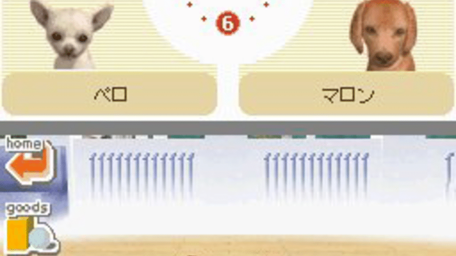 Nintendogs: Dachshund & Friends Screenshot