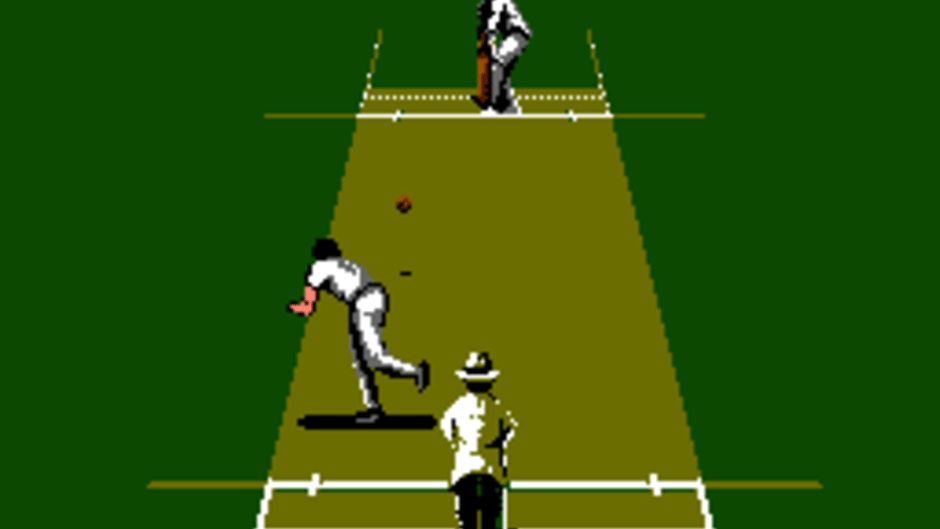 International Cricket Screenshot