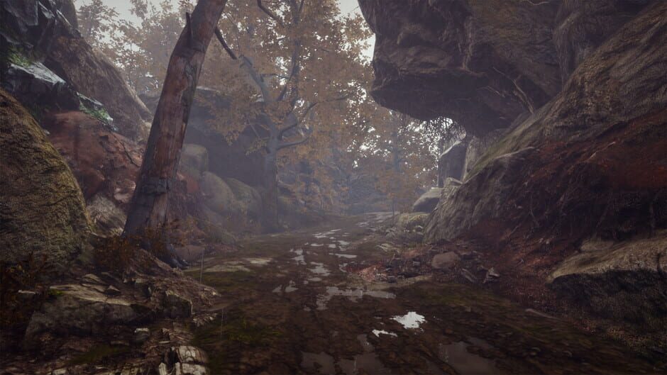 Pluviophile Screenshot