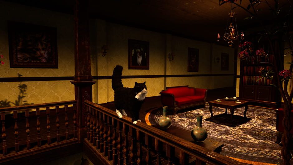 Catsperience Screenshot
