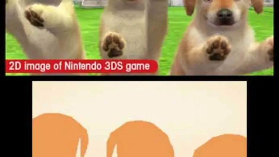 Screenshot 1 aus Nintendogs + Cats: Toy Poodle & New Friends