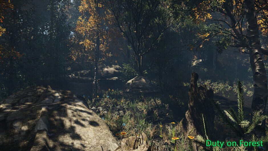 Duty on Forest Screenshot