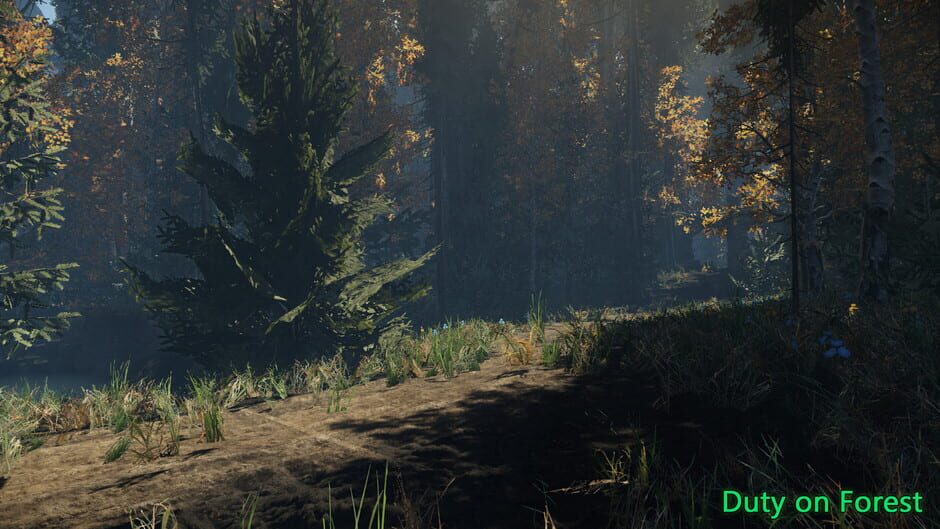 Duty on Forest Screenshot