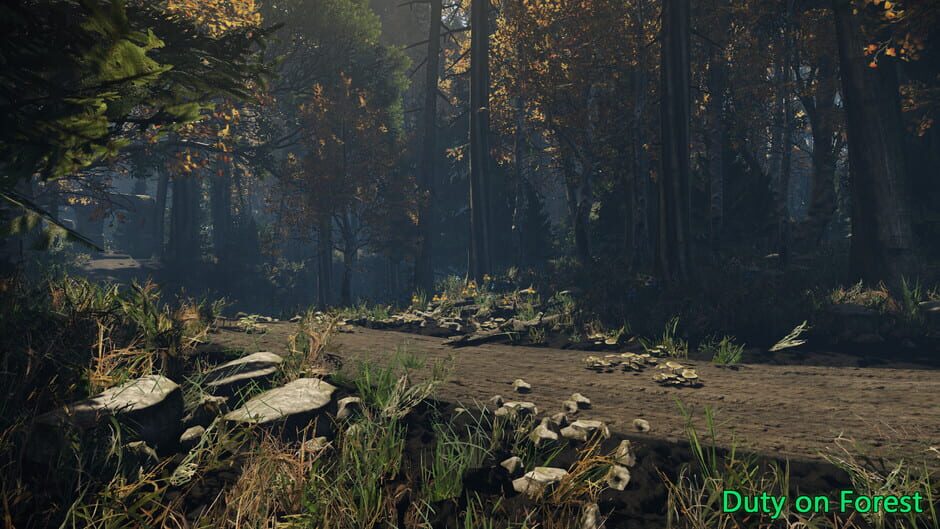 Duty on Forest Screenshot