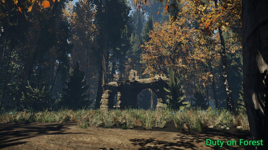 Duty on Forest Screenshot