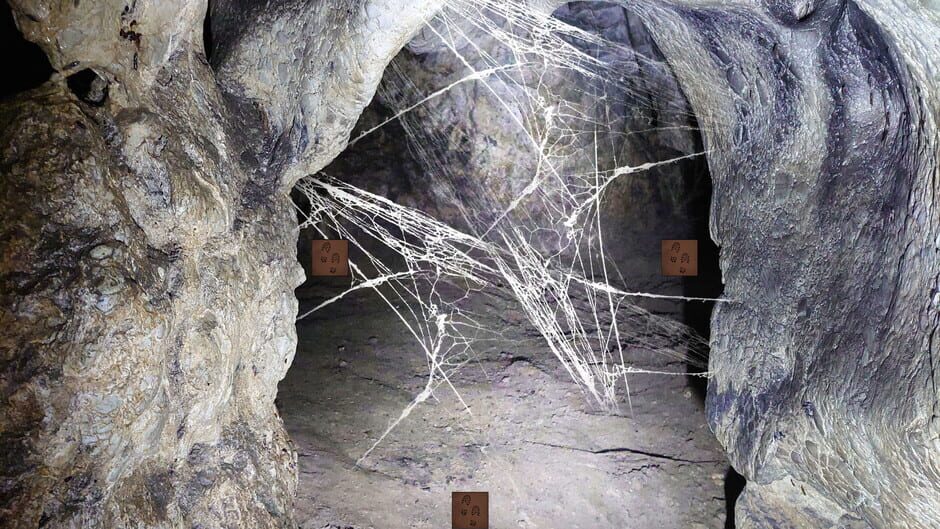 Forgotten Forest: Eye of the Great One Screenshot