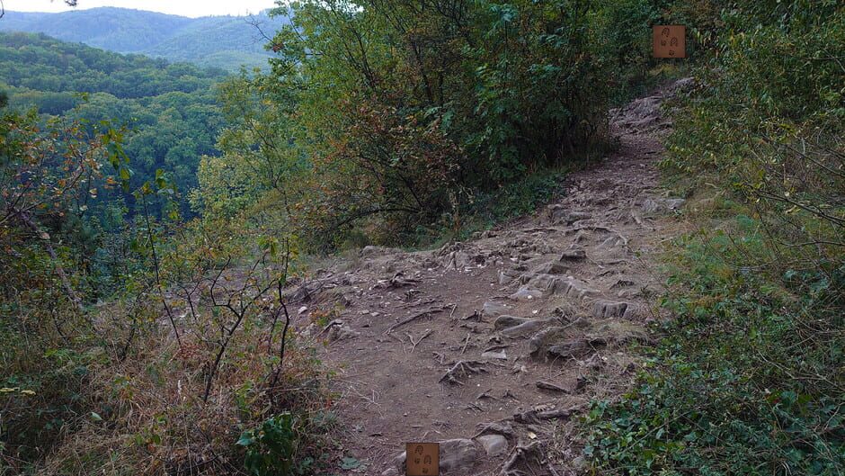 Forgotten Forest: Eye of the Great One Screenshot