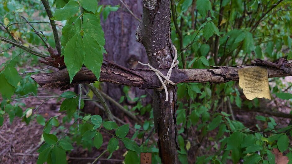 Forgotten Forest: Eye of the Great One Screenshot