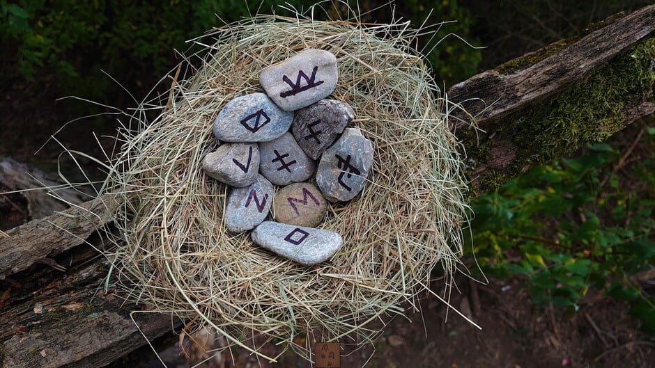 Forgotten Forest: Eye of the Great One Screenshot