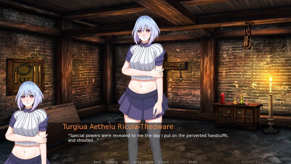 Welcome To Chichester OVN 3: The Mysterious Affair at the Violet Hotel Screenshot