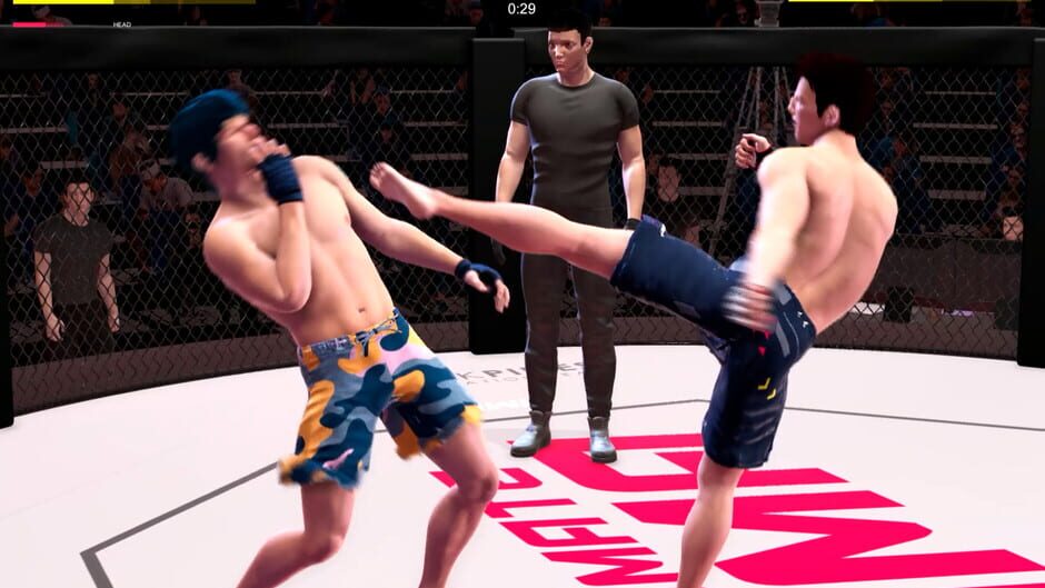 Ultimate MMA Screenshot
