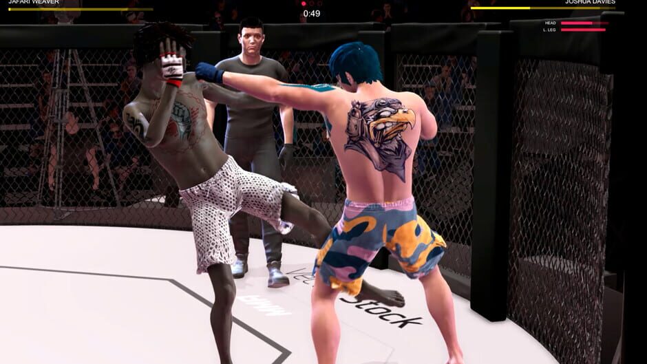 Ultimate MMA Screenshot