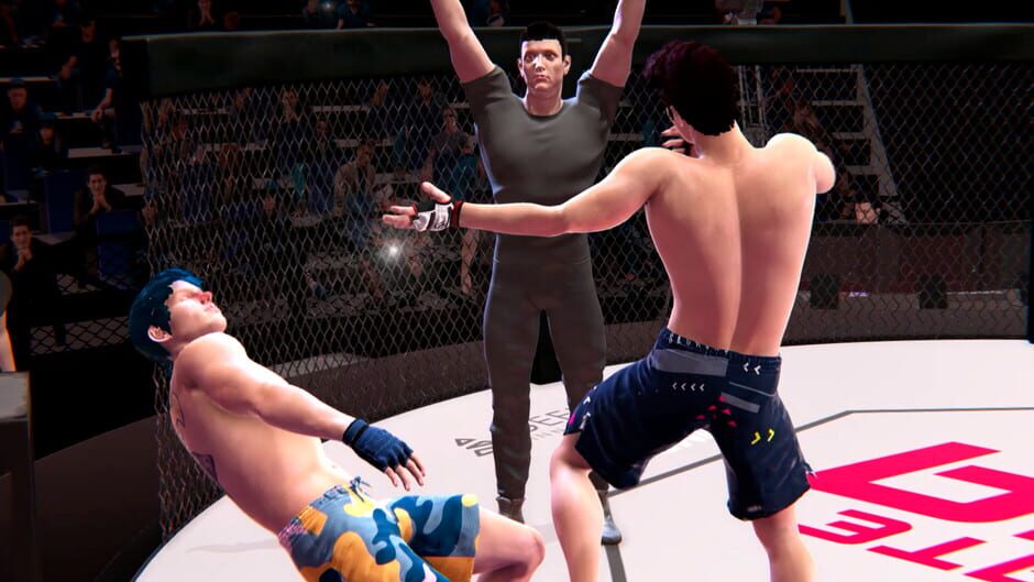Ultimate MMA Screenshot