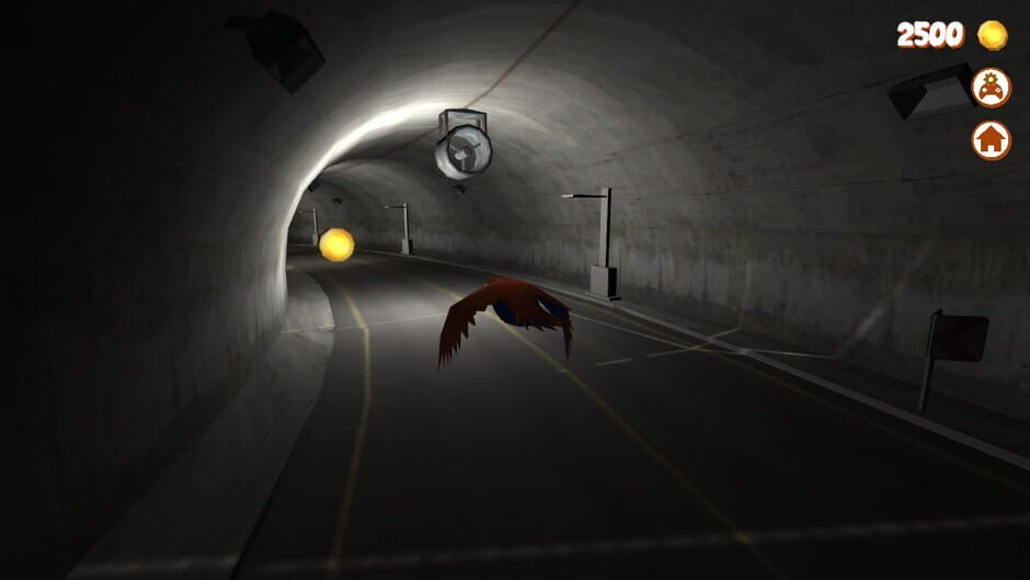 Bird Missions Screenshot