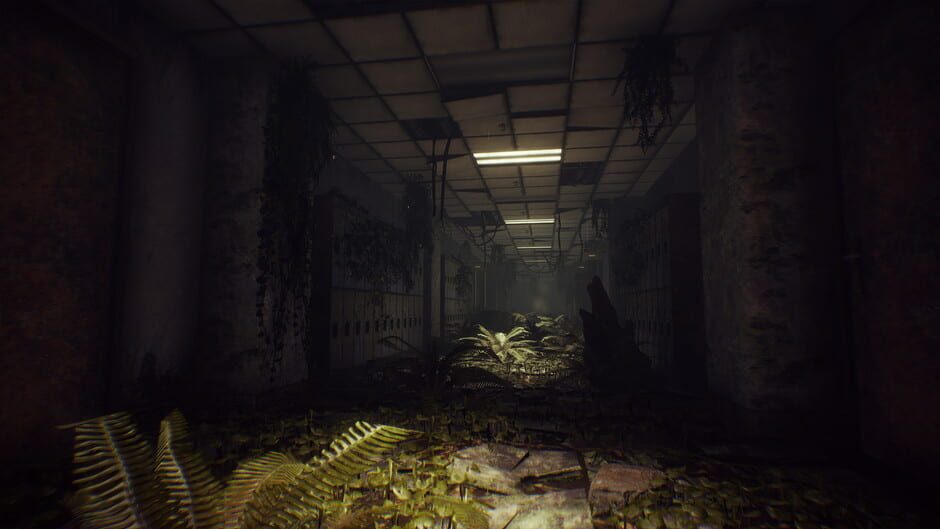 What Happened Screenshot