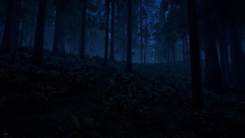 Bella: The girl in the Woods Screenshot