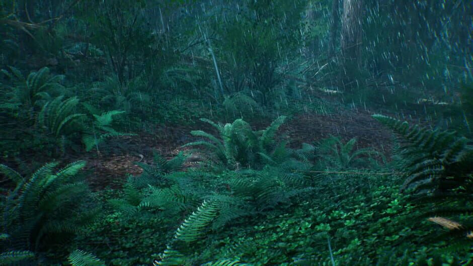 Bella: The girl in the Woods Screenshot