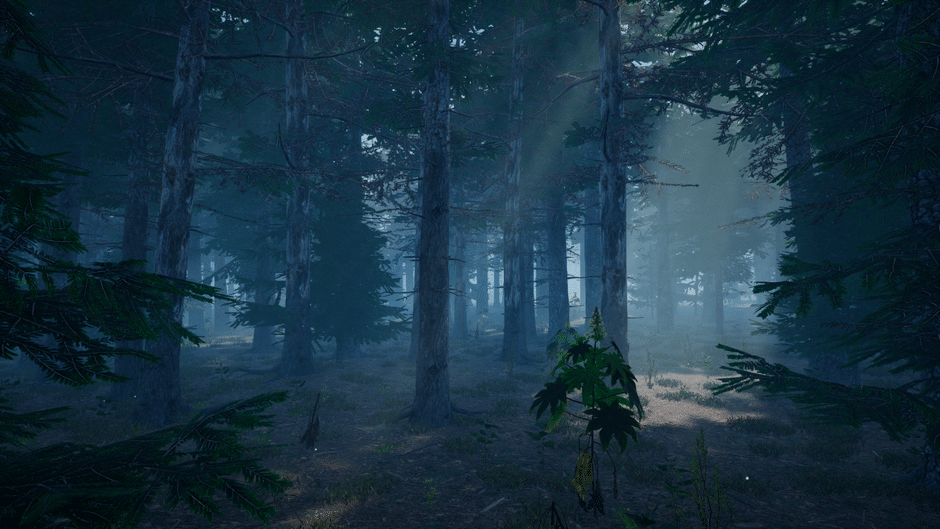 Mushroom Picker Simulator Screenshot