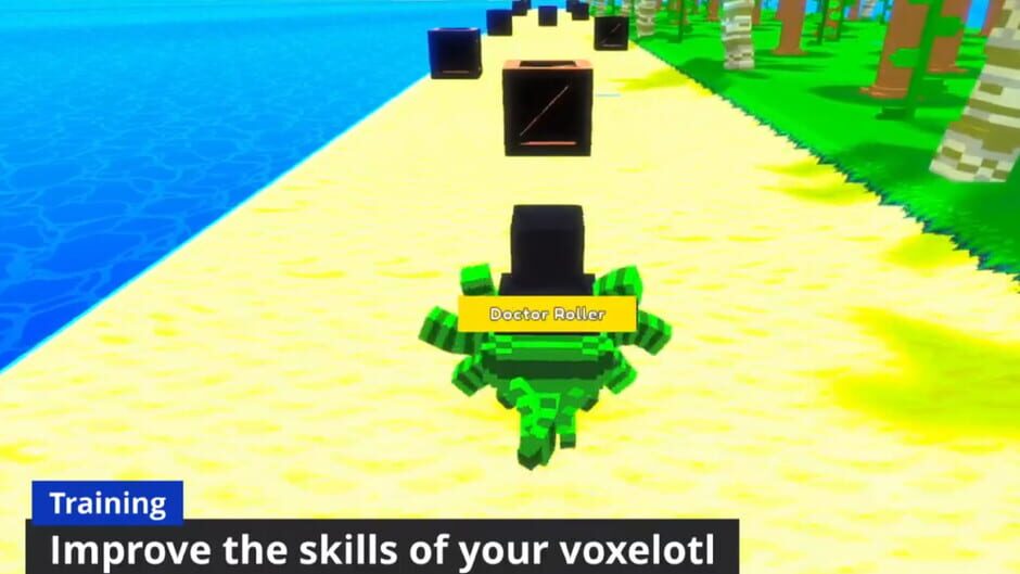 Voxelotl Garden Screenshot