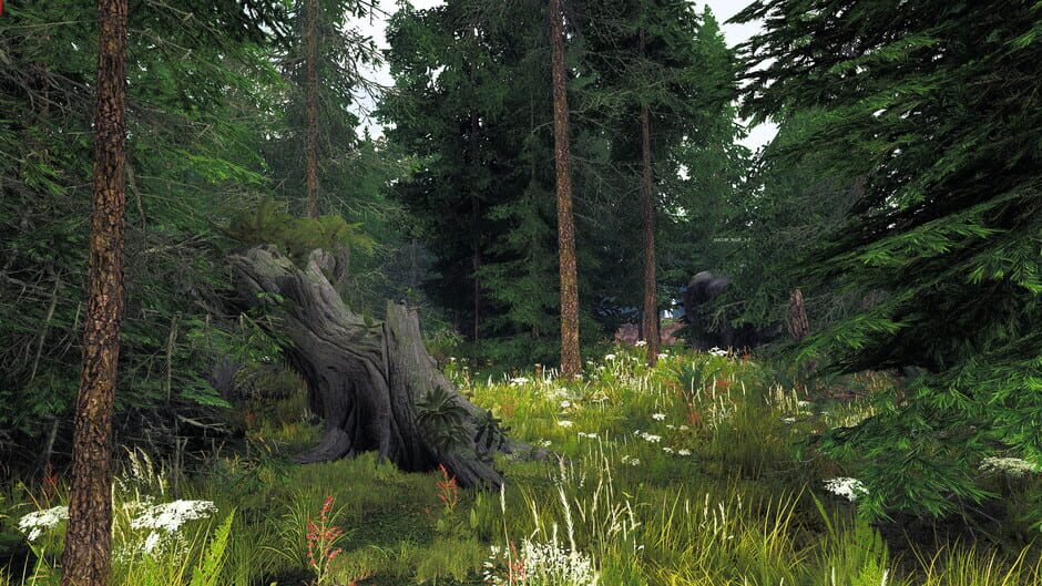 Undergrowth: VR Maze Screenshot