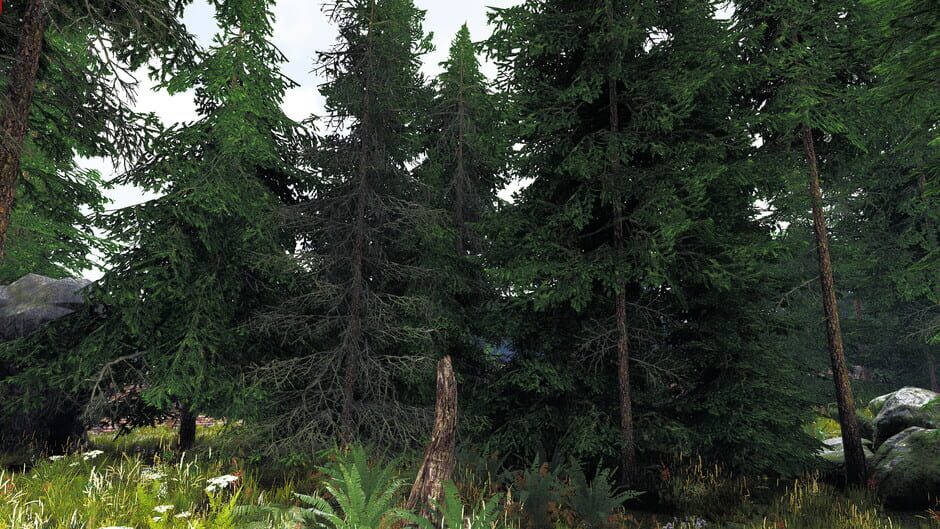 Undergrowth: VR Maze Screenshot