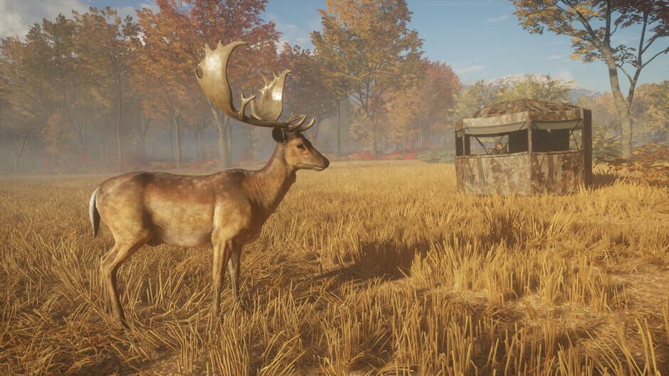 TheHunter: Call of the Wild - Tents & Ground Blinds Screenshot