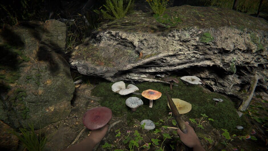 Primal Man Simulator screenshot
