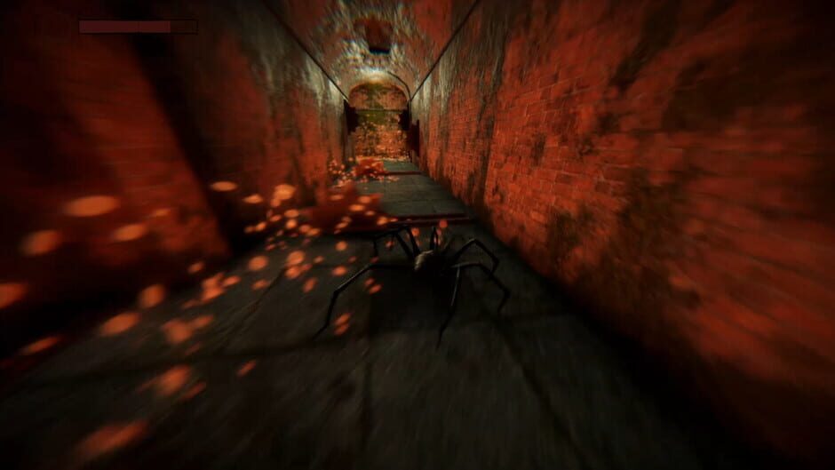Jung's Labyrinth Screenshot