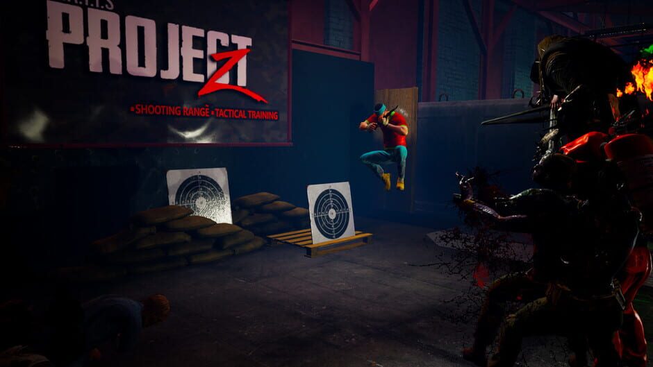 Matts Project Z Endless Screenshot