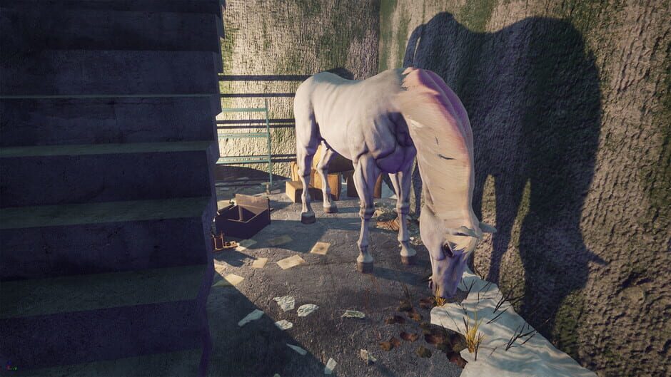 Lucid Cycle Screenshot