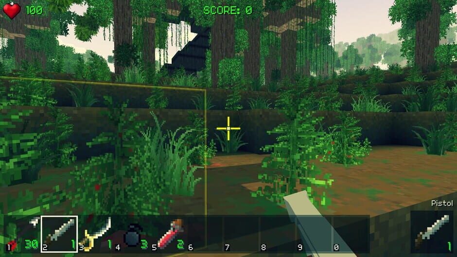 Piratecraft Screenshot